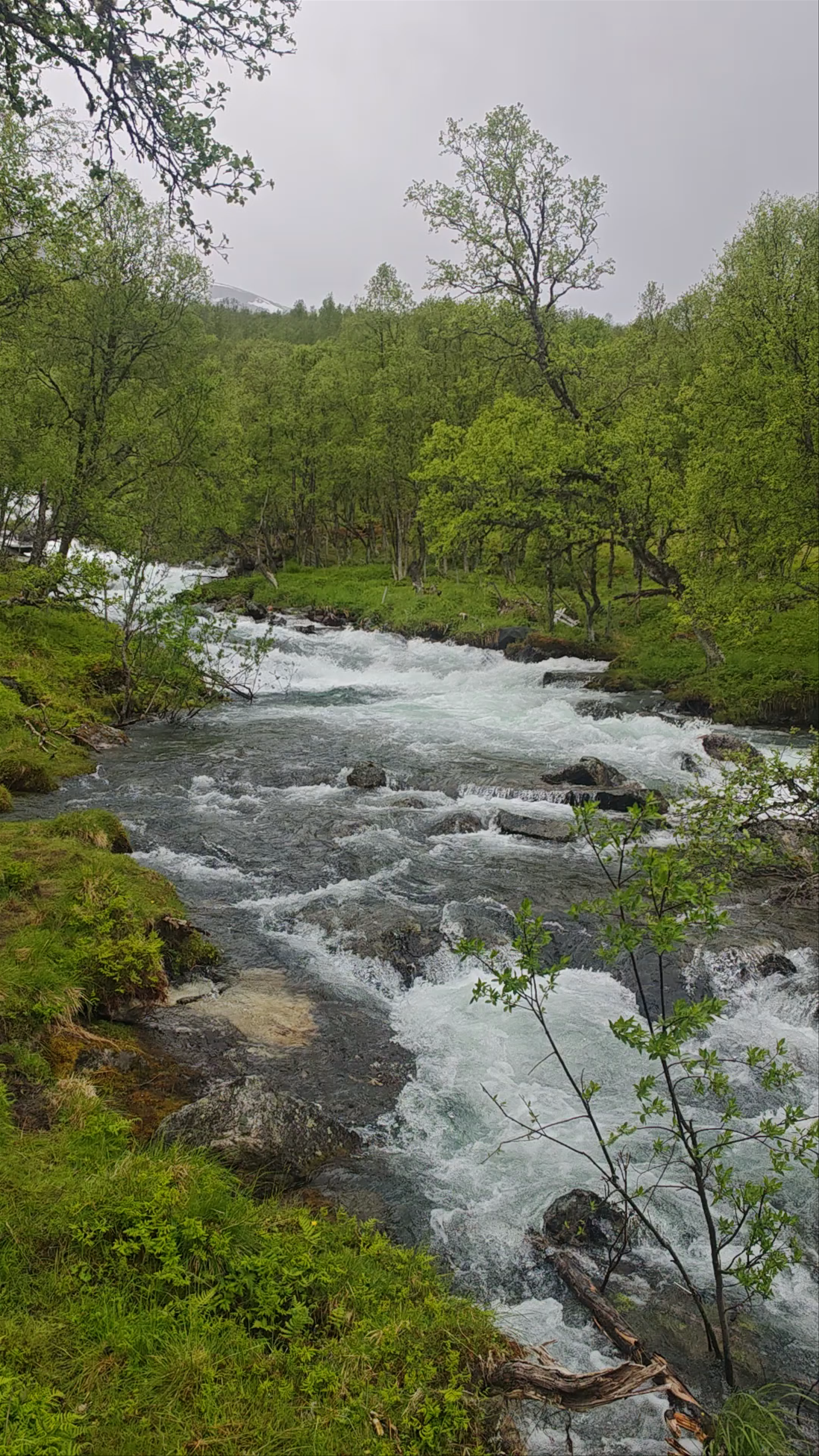 Vardahaugselvi Waterfall
