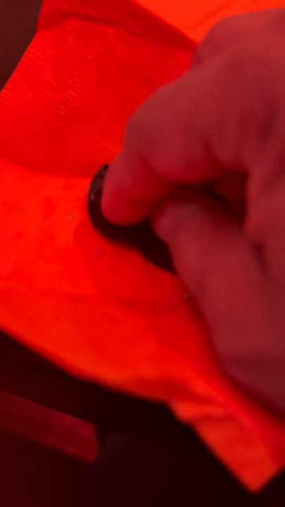 Samudhra - Rubber found in food , negligence of Chef and owner - Indian Near Me - Franklin Park, New Jersey