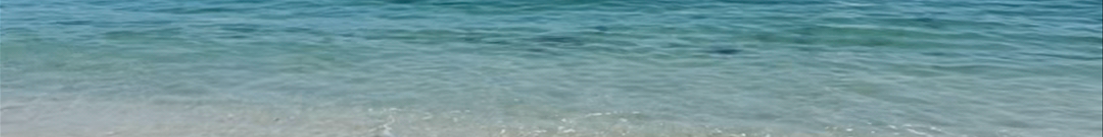 Tours & experiences in Guernsey