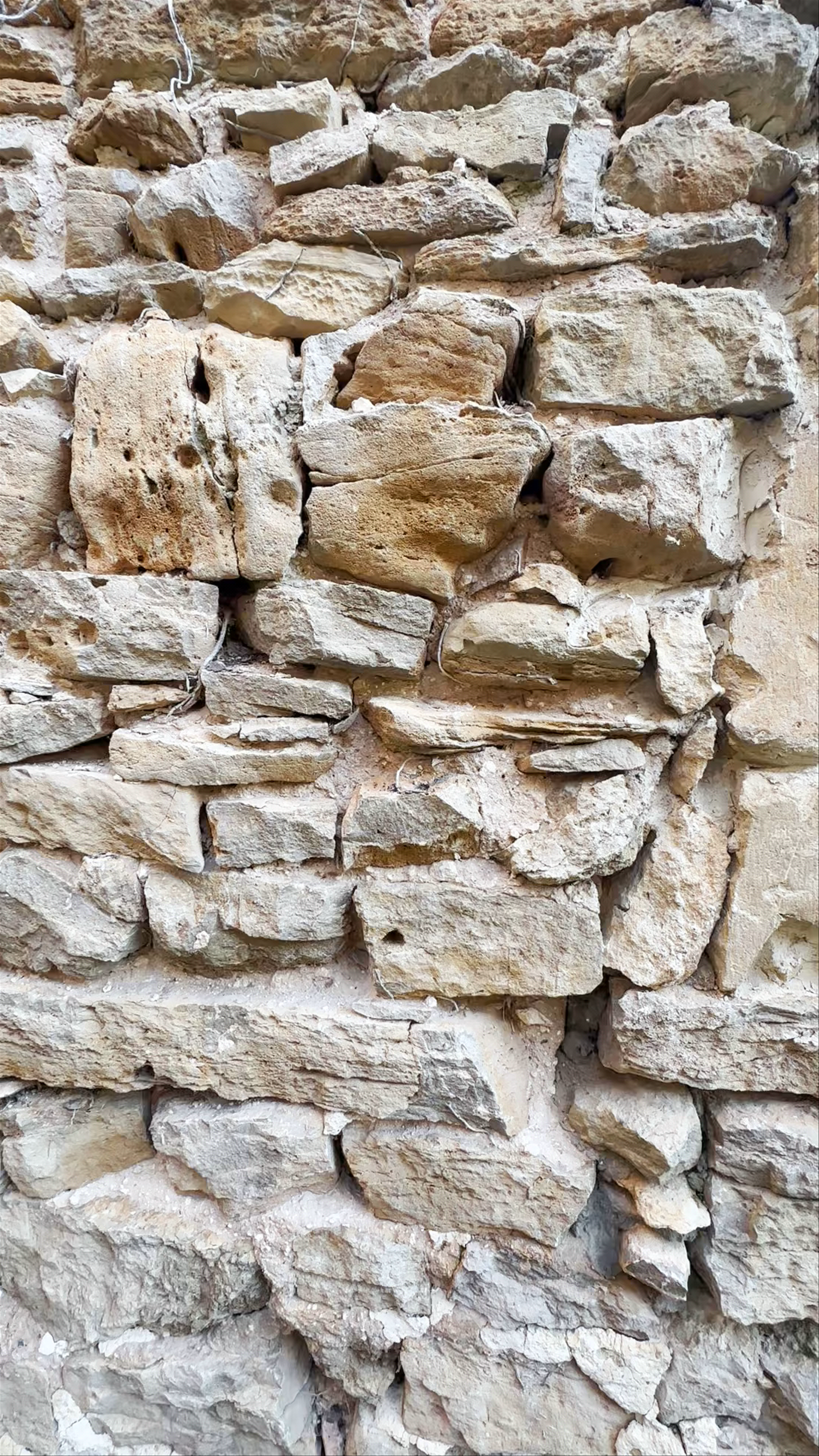 Monasterio de Santa María de Rioseco (ruinas)