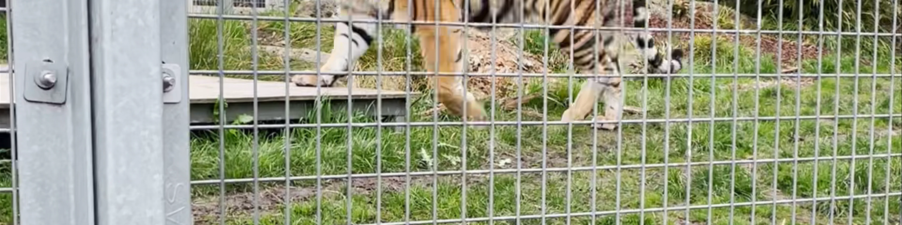 Ballarat Wildlife Park