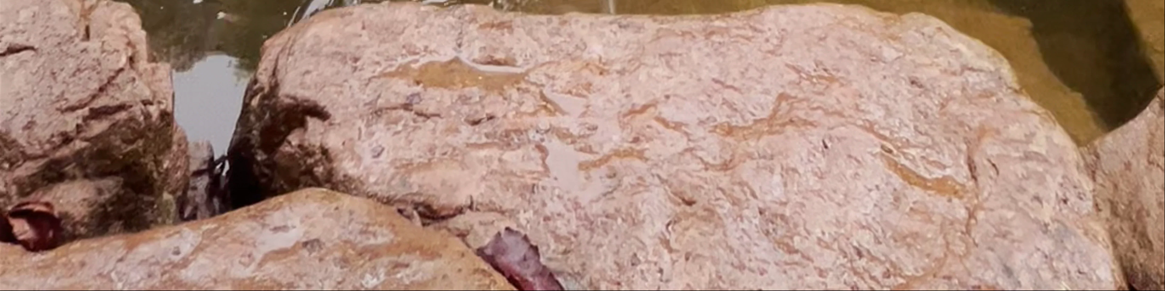 Padajhar Mahadev And Cave