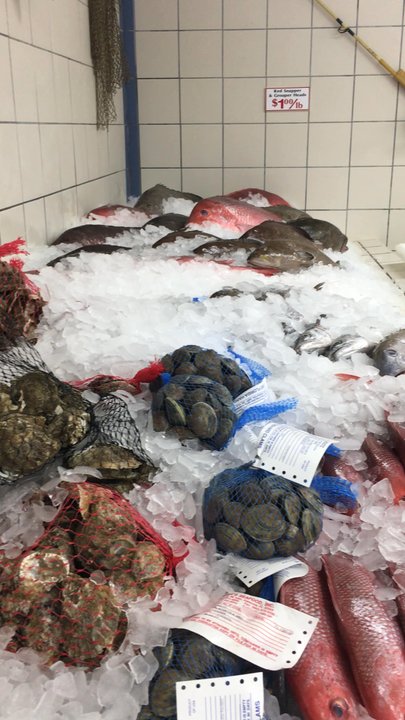 Sexton's Seafood - Seafood Markets Near Me - Destin, Florida
