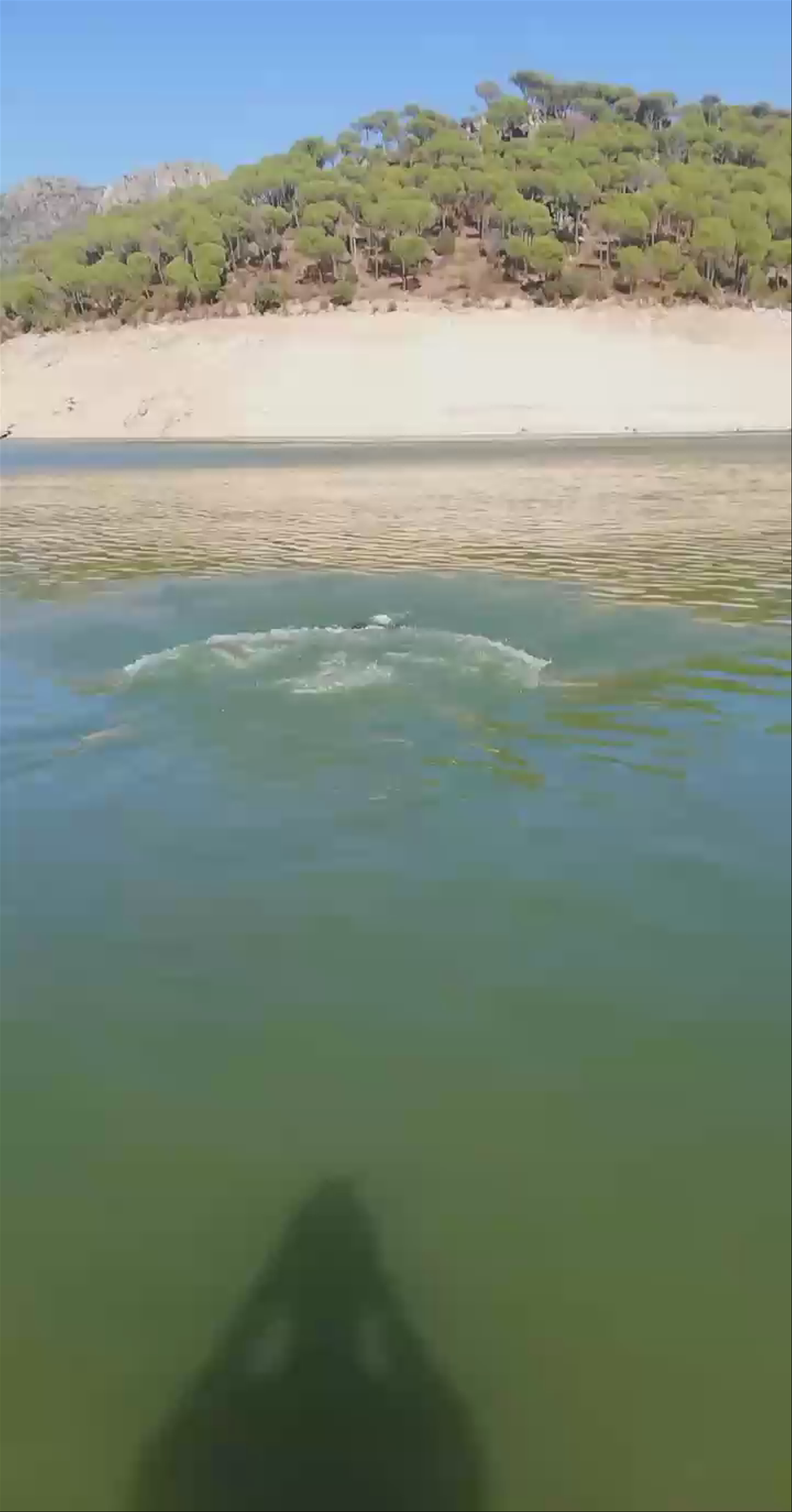 Pantano de San Juan