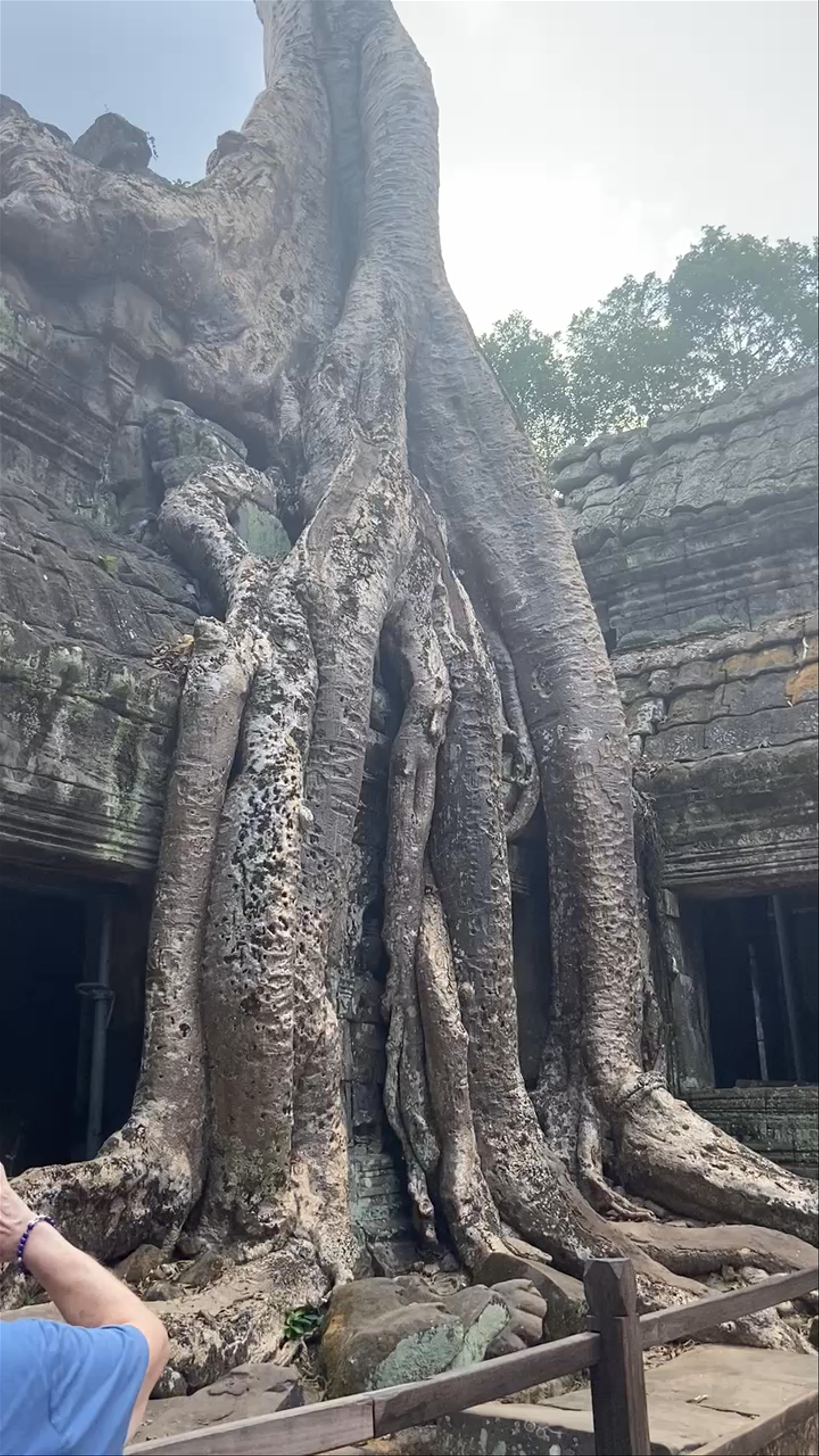 Ta Prohm