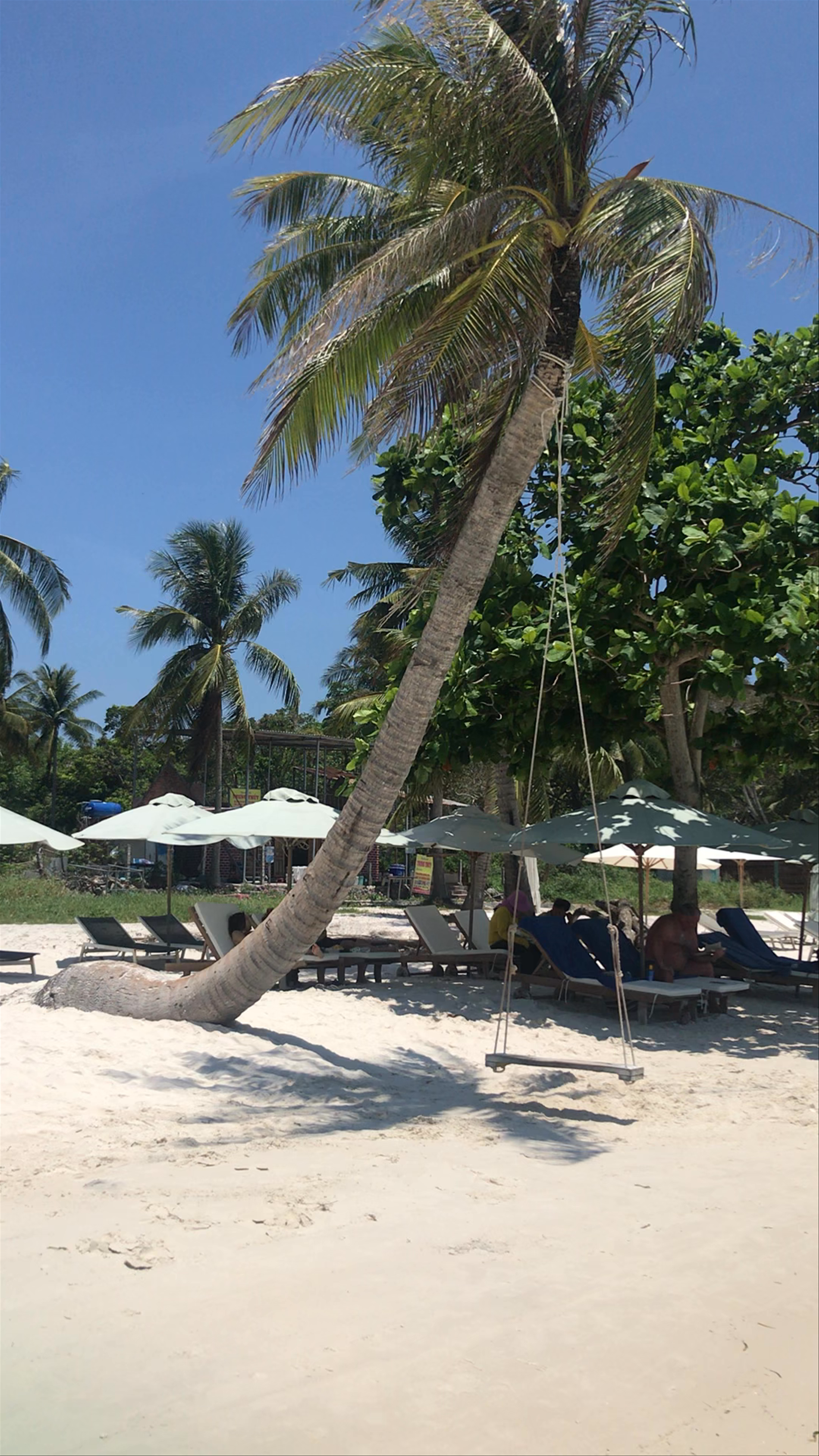 Sao Beach Serenity: Tropical Paradise on Phu Quoc Island