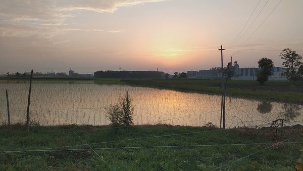 Photo of Beautiful Sunset - B