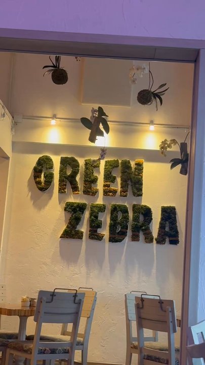 Green Zebra Cafe - Ambiance - Juice Bars & Smoothies Near Me - Sarasota, Florida