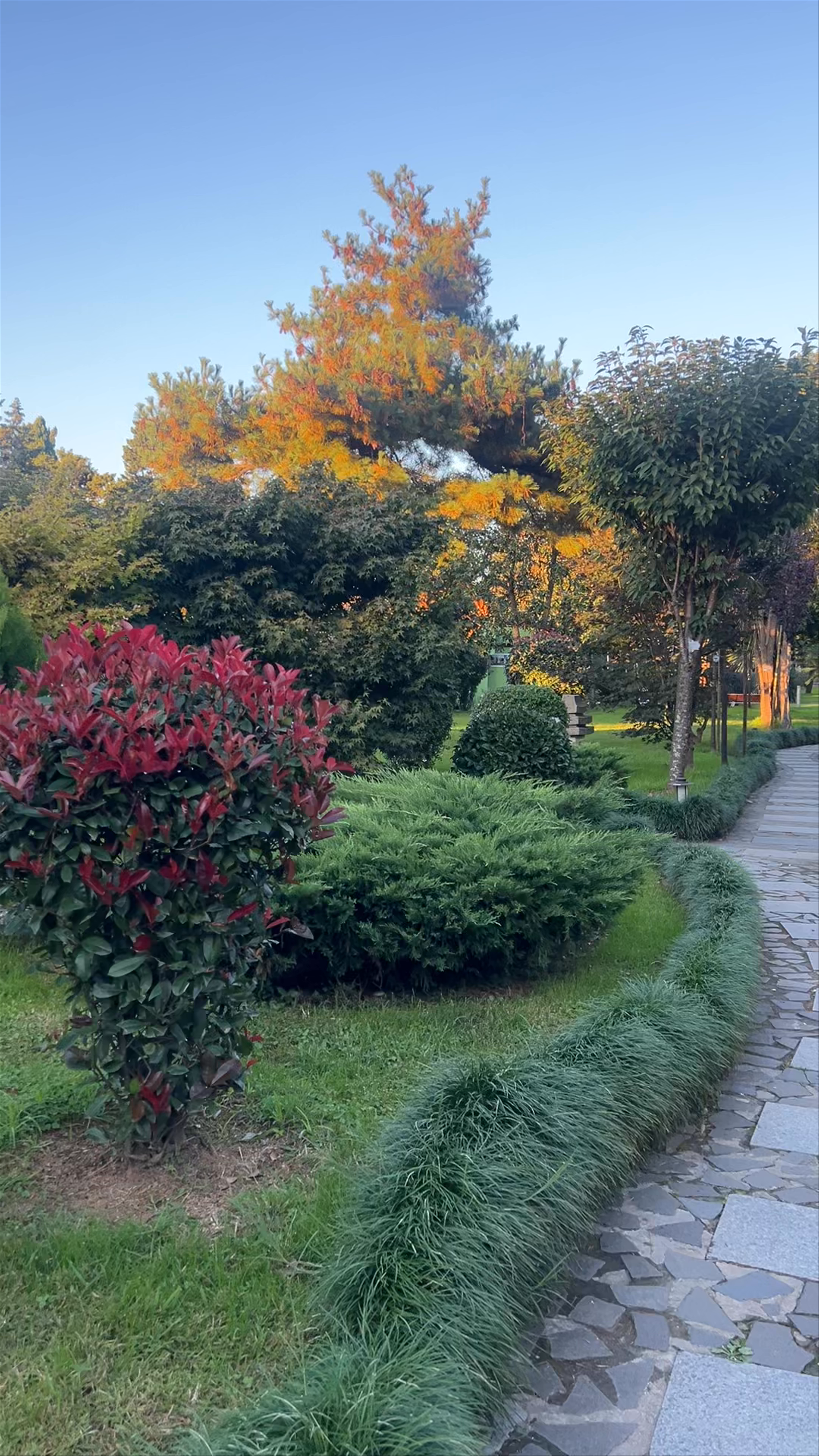 Serene Japanese Garden in Batumi's Heart