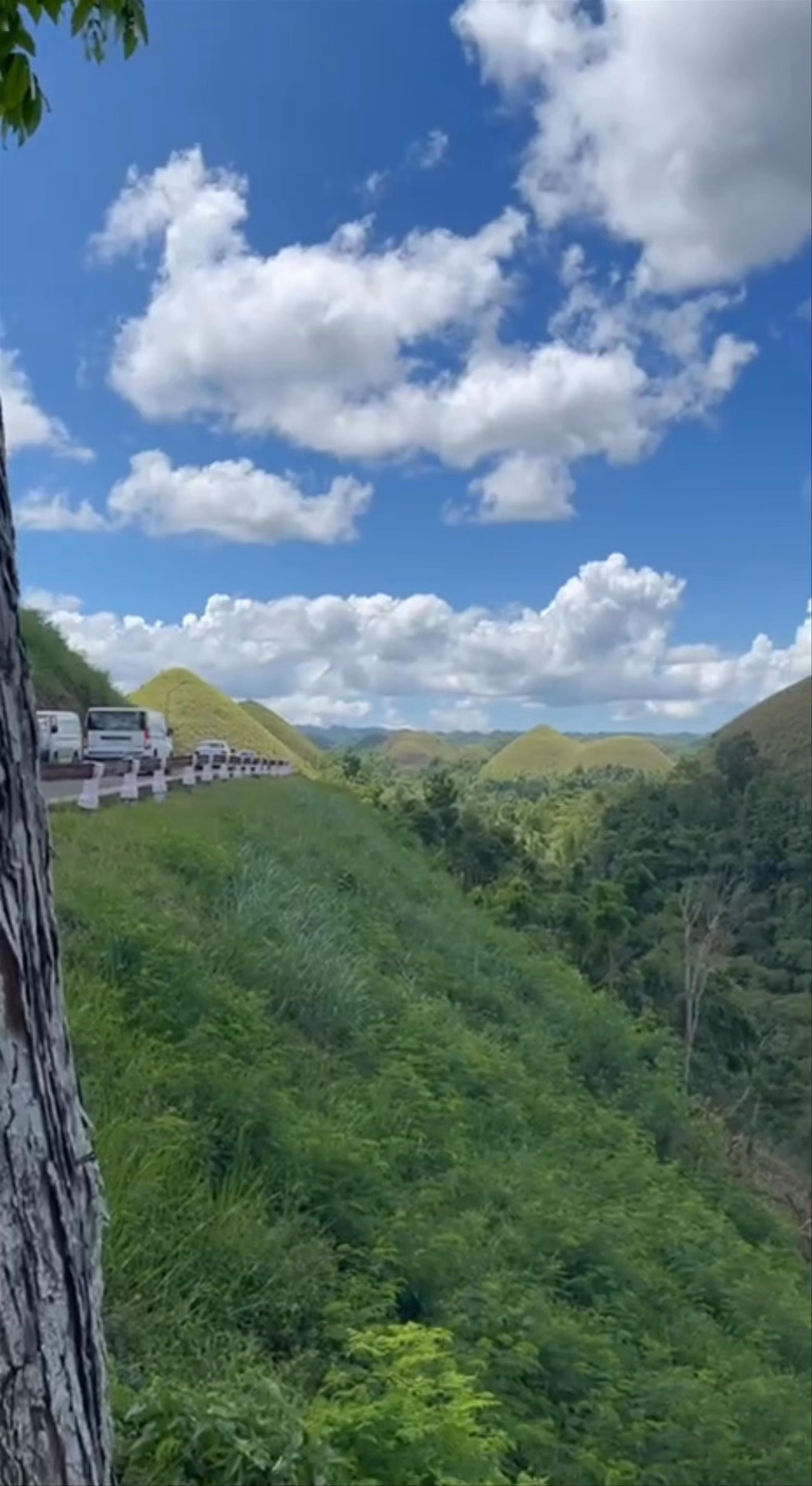Chocolate Hills Adventure Park