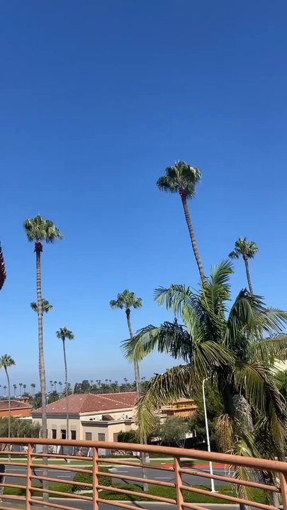 Body Design - The balcony - Trainers Near Me - Newport Beach, California
