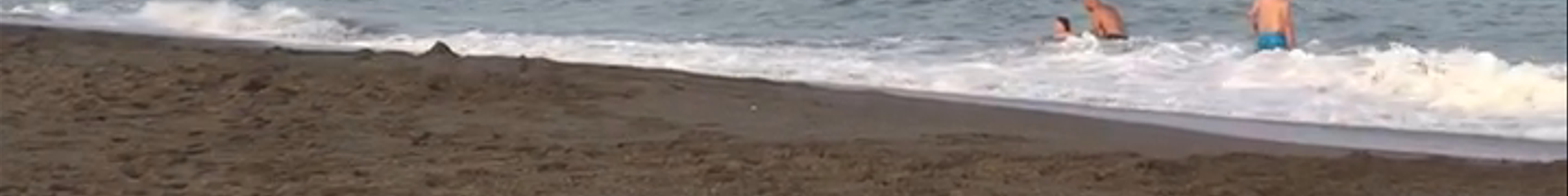Tours & experiences in Torremolinos