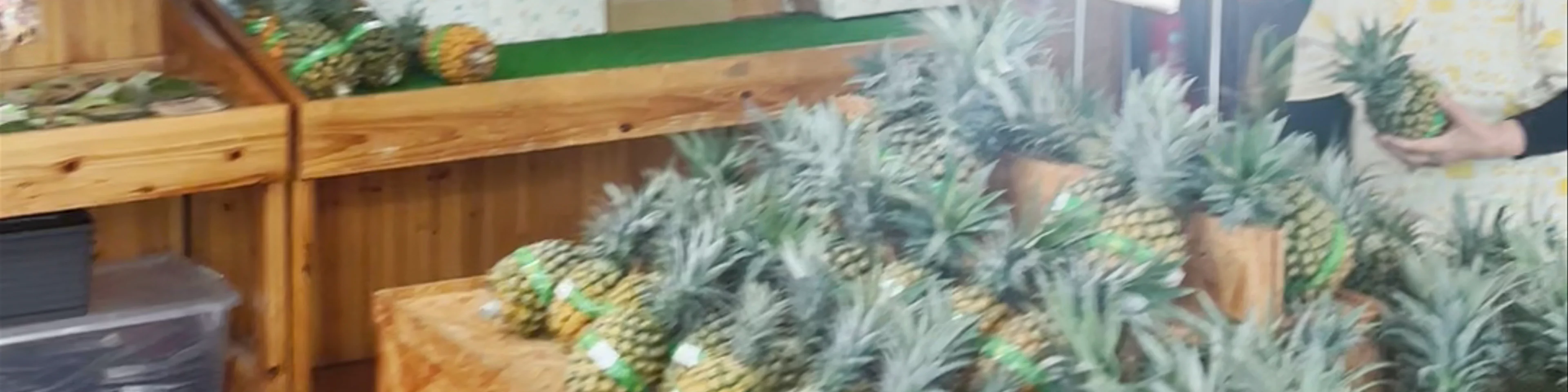 Nago Pineapple Park