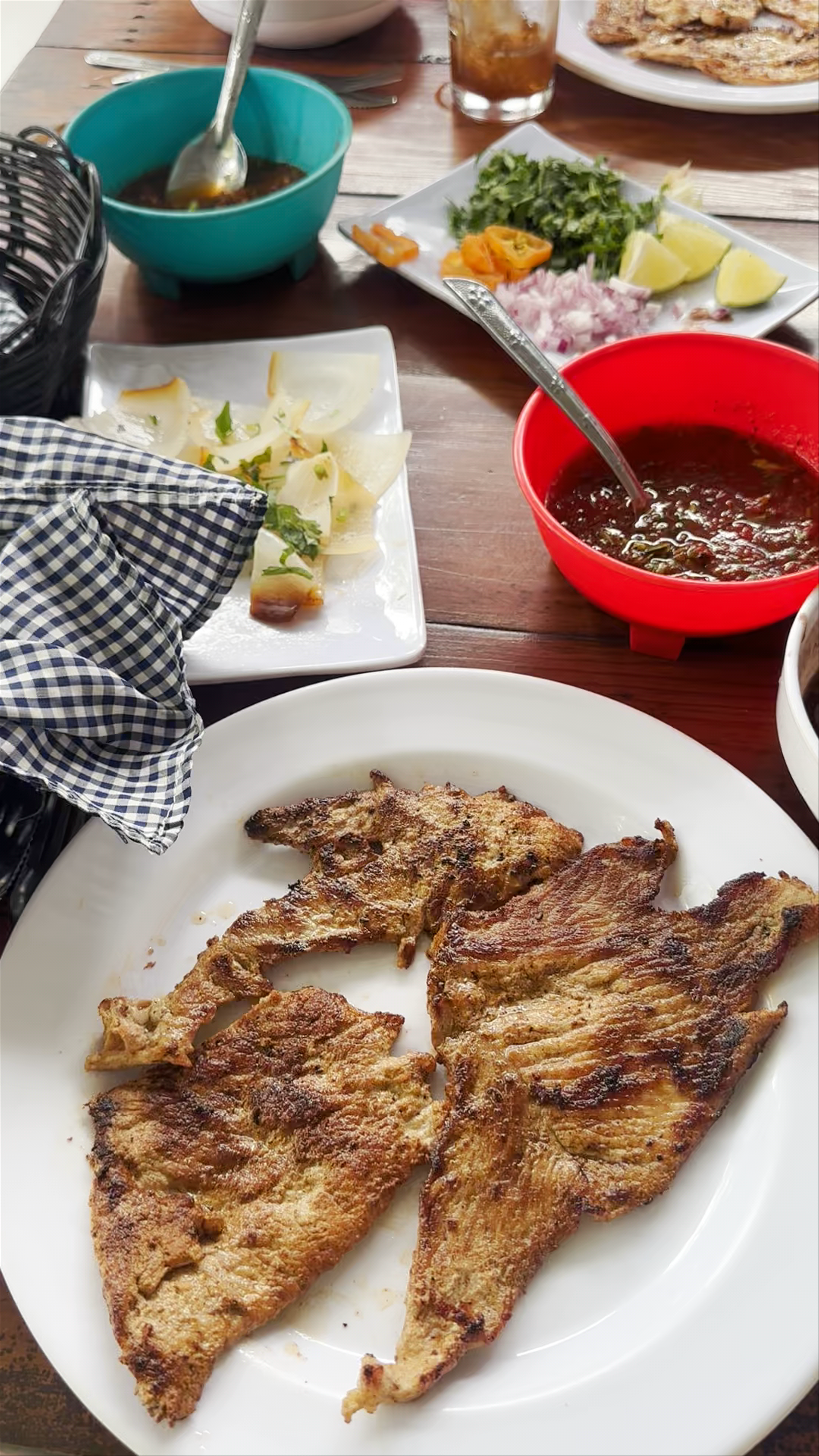 El Jardín de La Tía