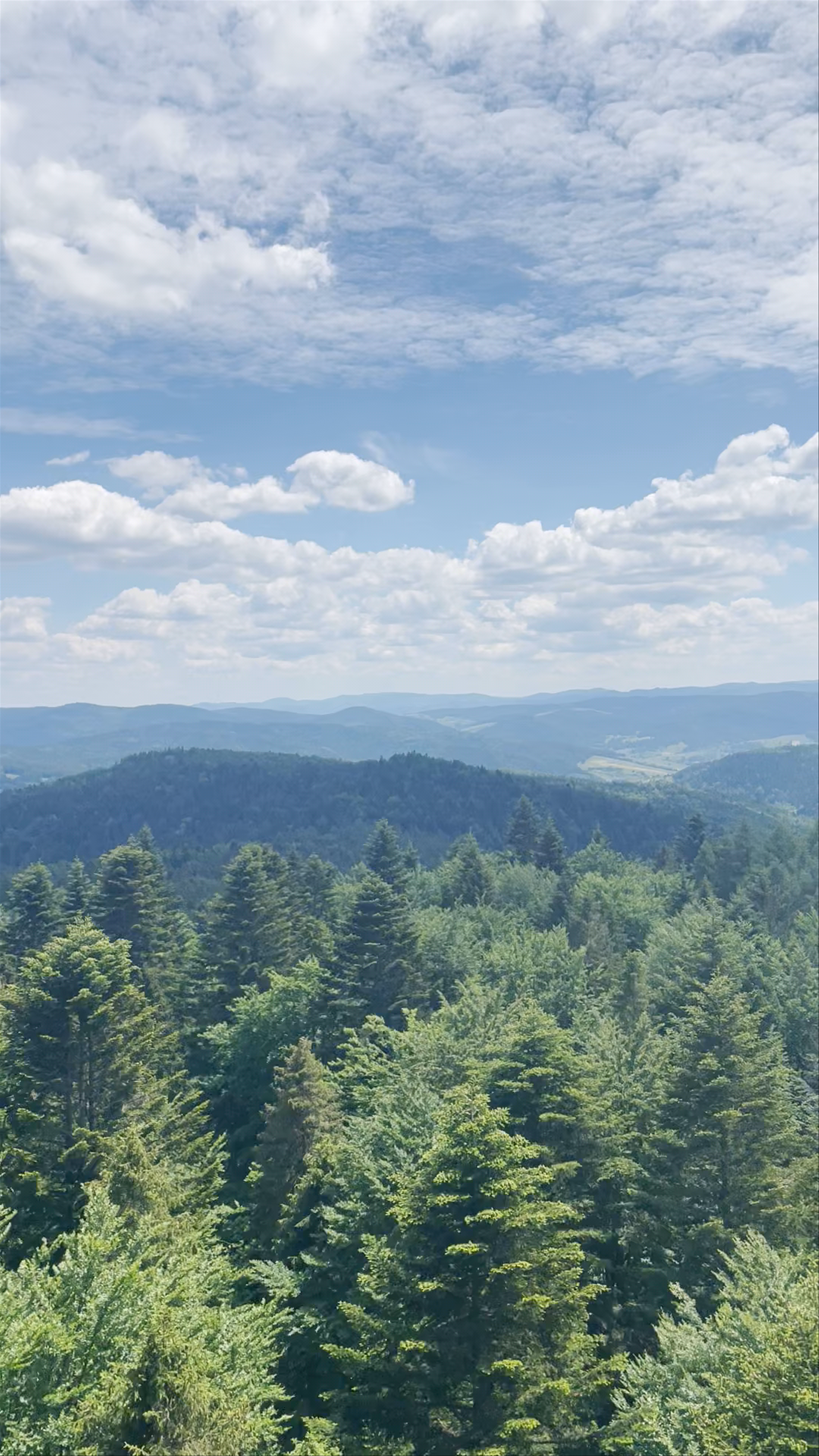 Krynica Zdrój Observation Tower