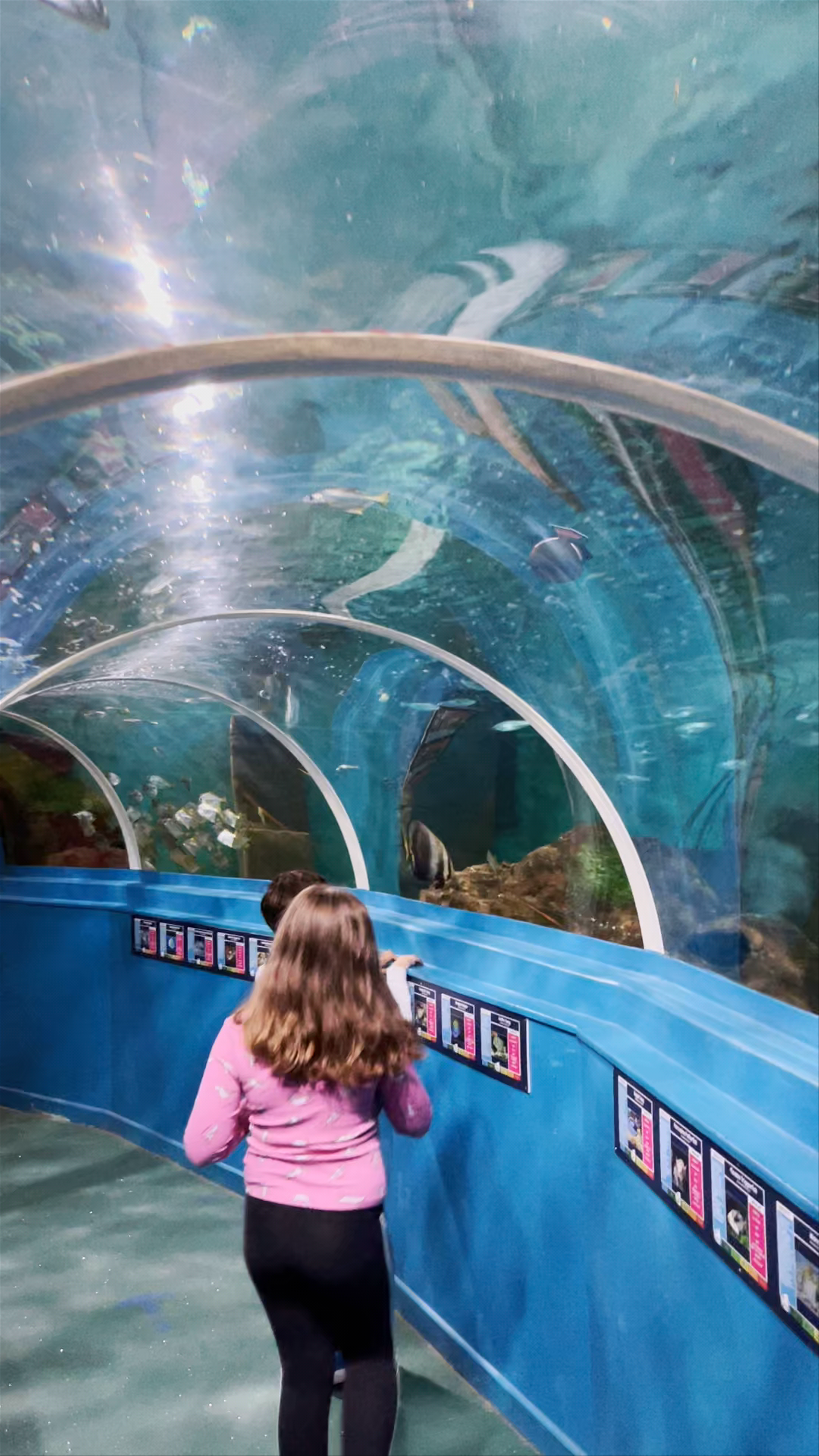 Blue Reef Aquarium Portsmouth