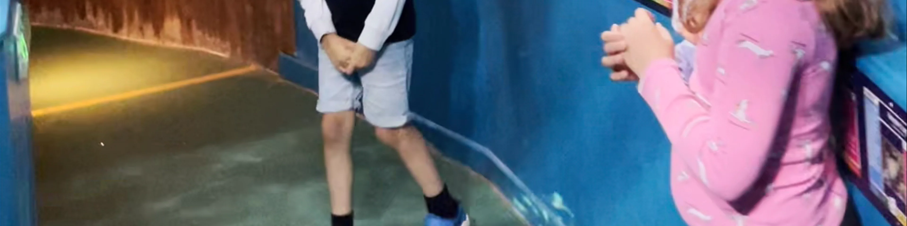 Blue Reef Aquarium Portsmouth
