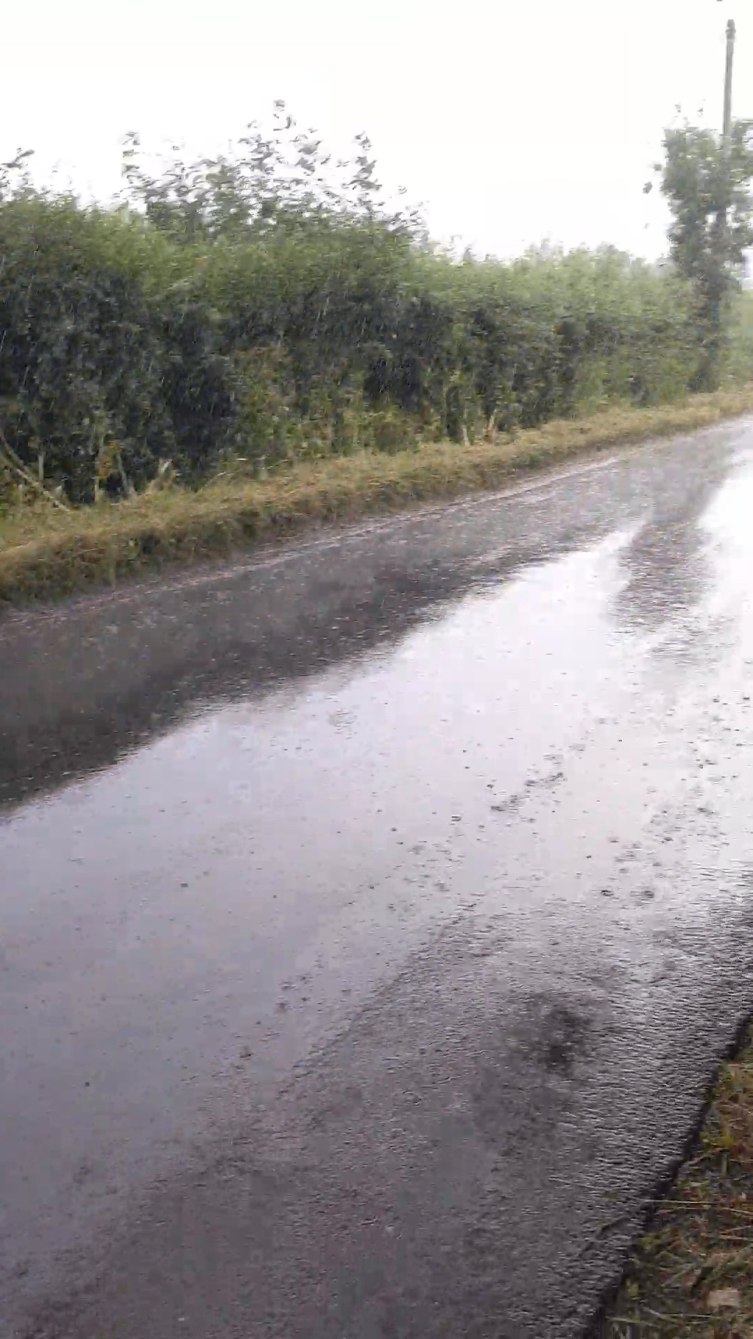 Skipton to Lands End - Day 4 photo 16