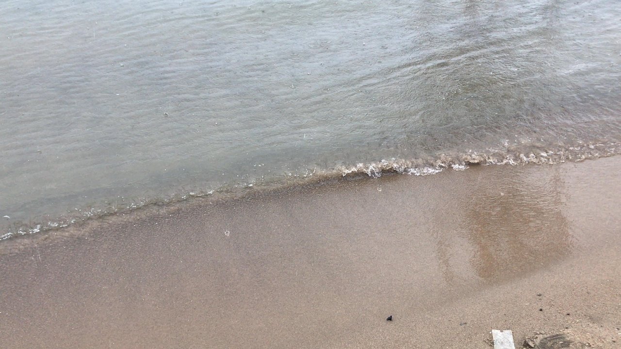 Bluffer’s Park - Parks Near Me - Toronto, Ontario