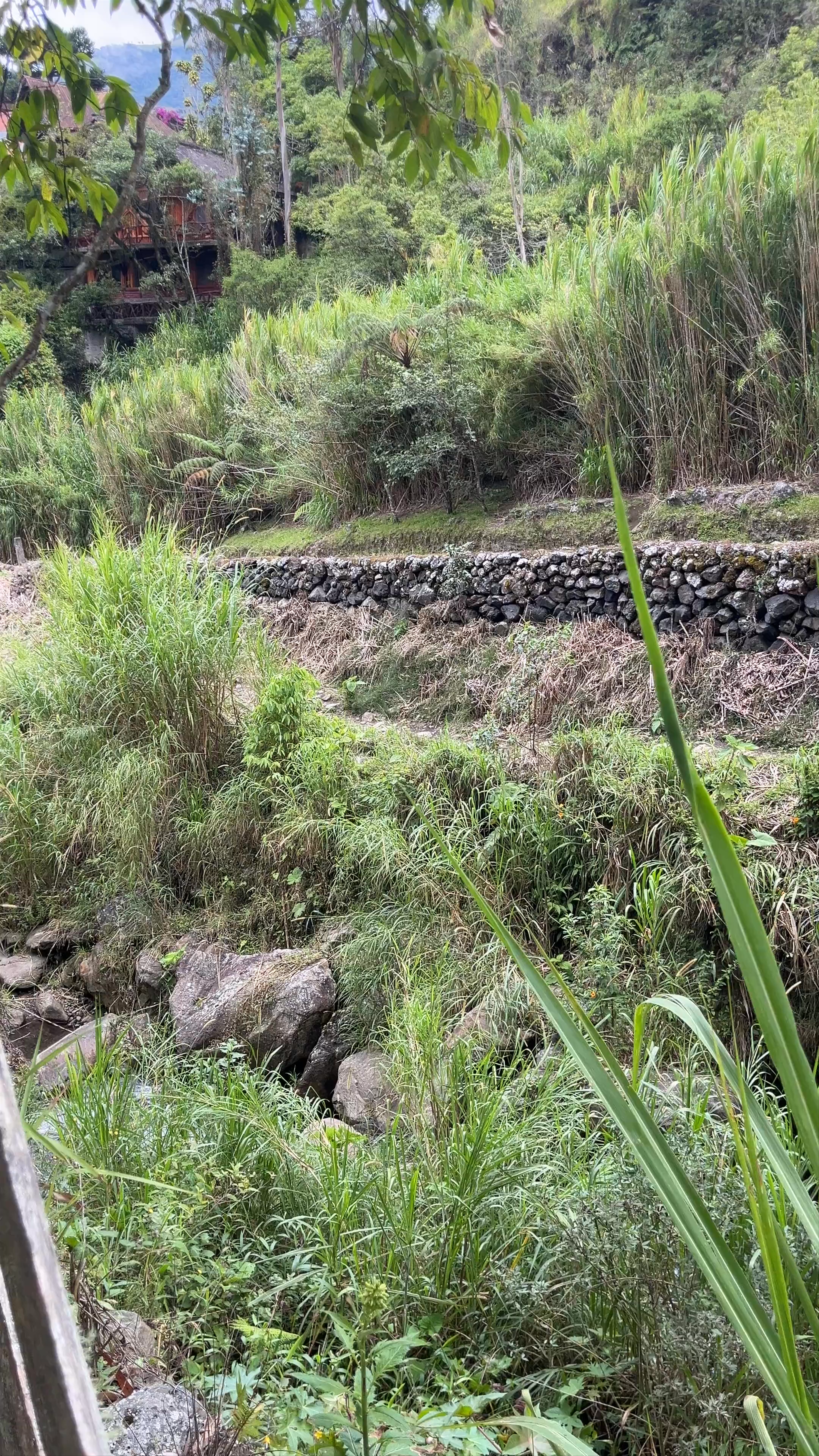 Chamana Waterfalls