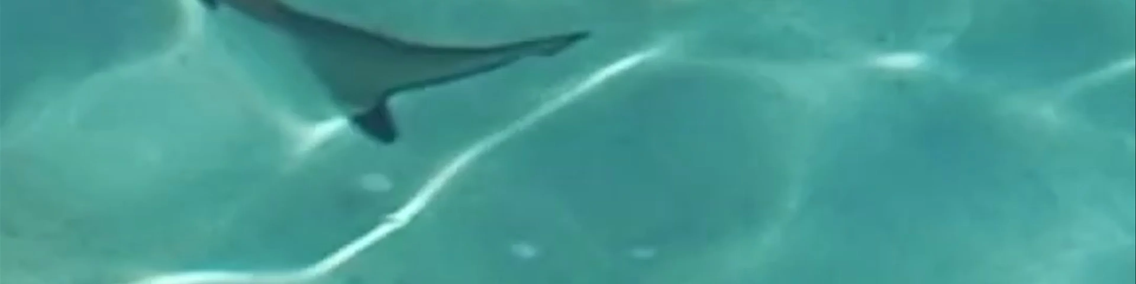 Bora-Bora