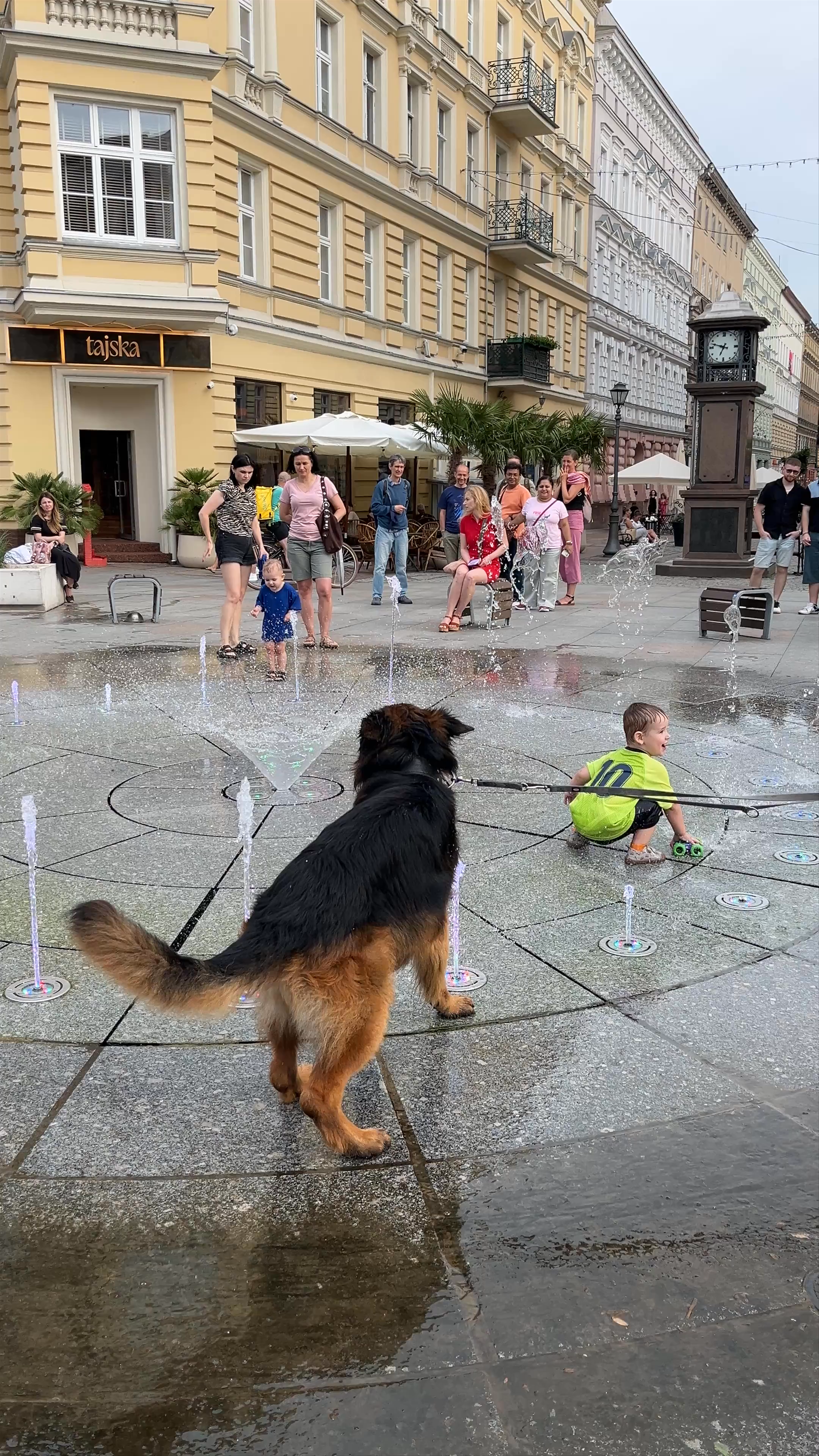 Playful Summer Moments at Deptak Bogusława Szczecin