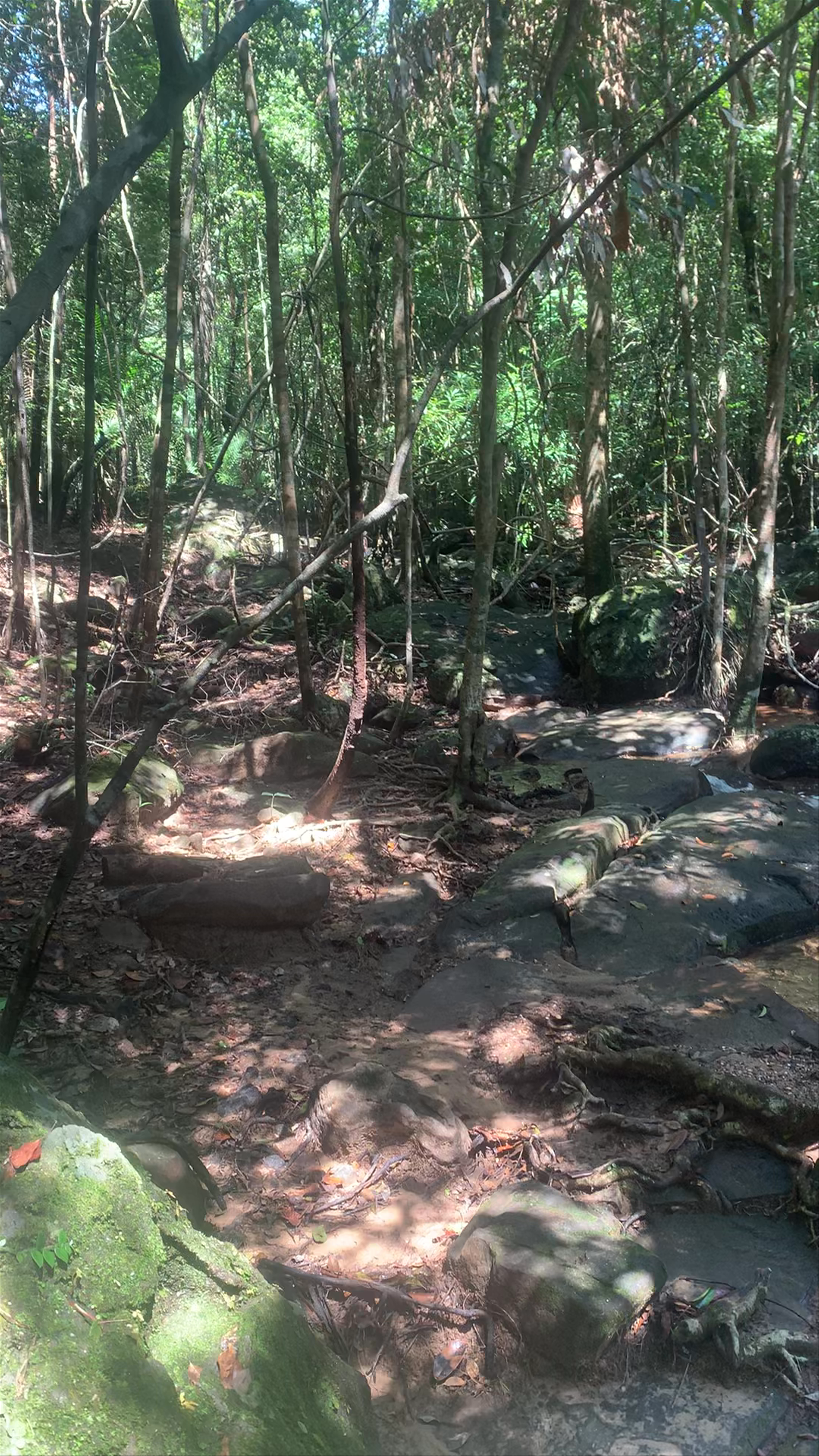 Suoi Tranh Waterfall