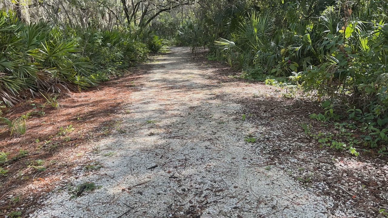 Potter Park - A brisk walk on the trail - Parks Near Me - Sarasota, Florida