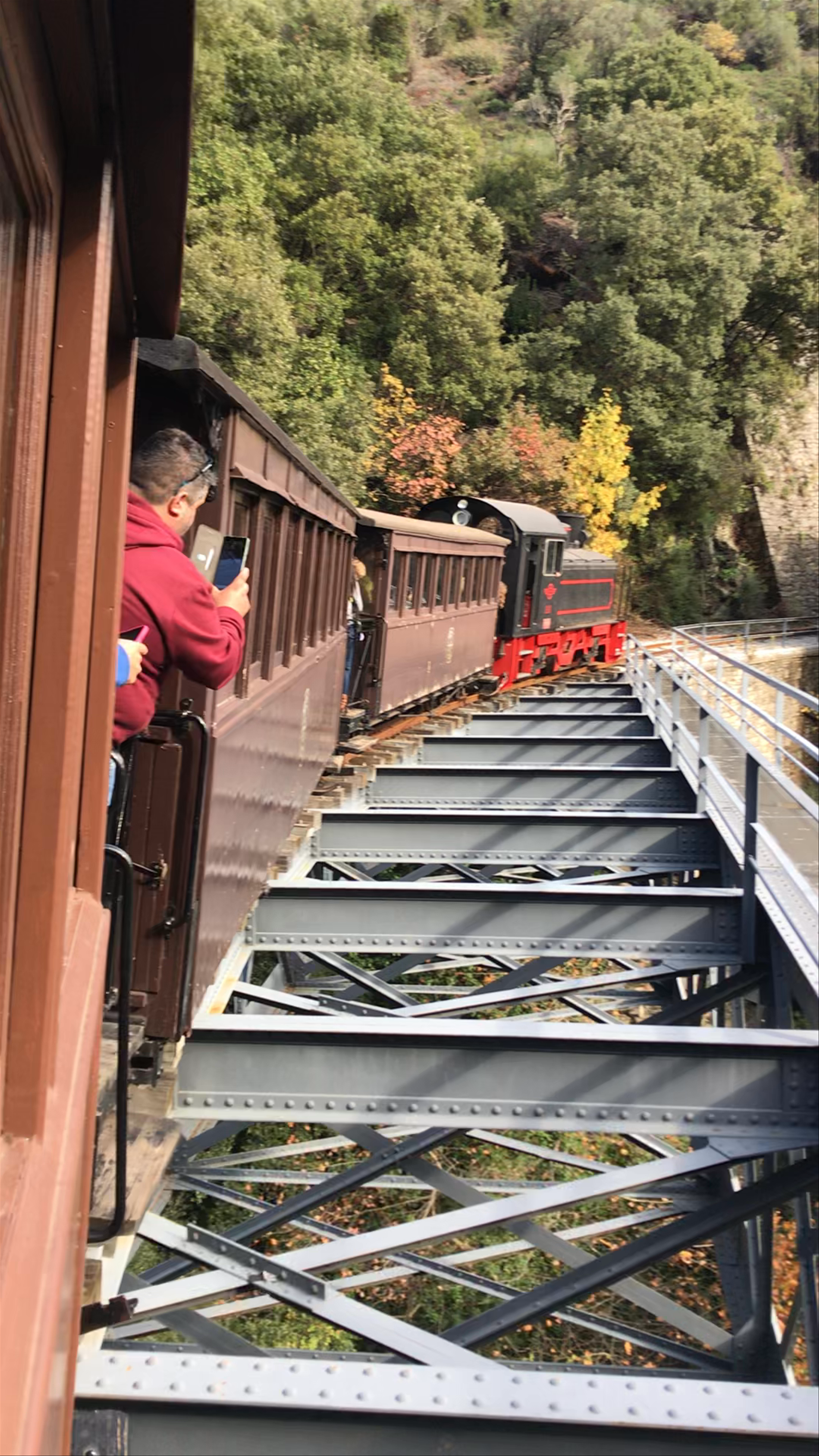 Historic Pelion Train Ride through South Pelion's Majestic Autumn Forests
