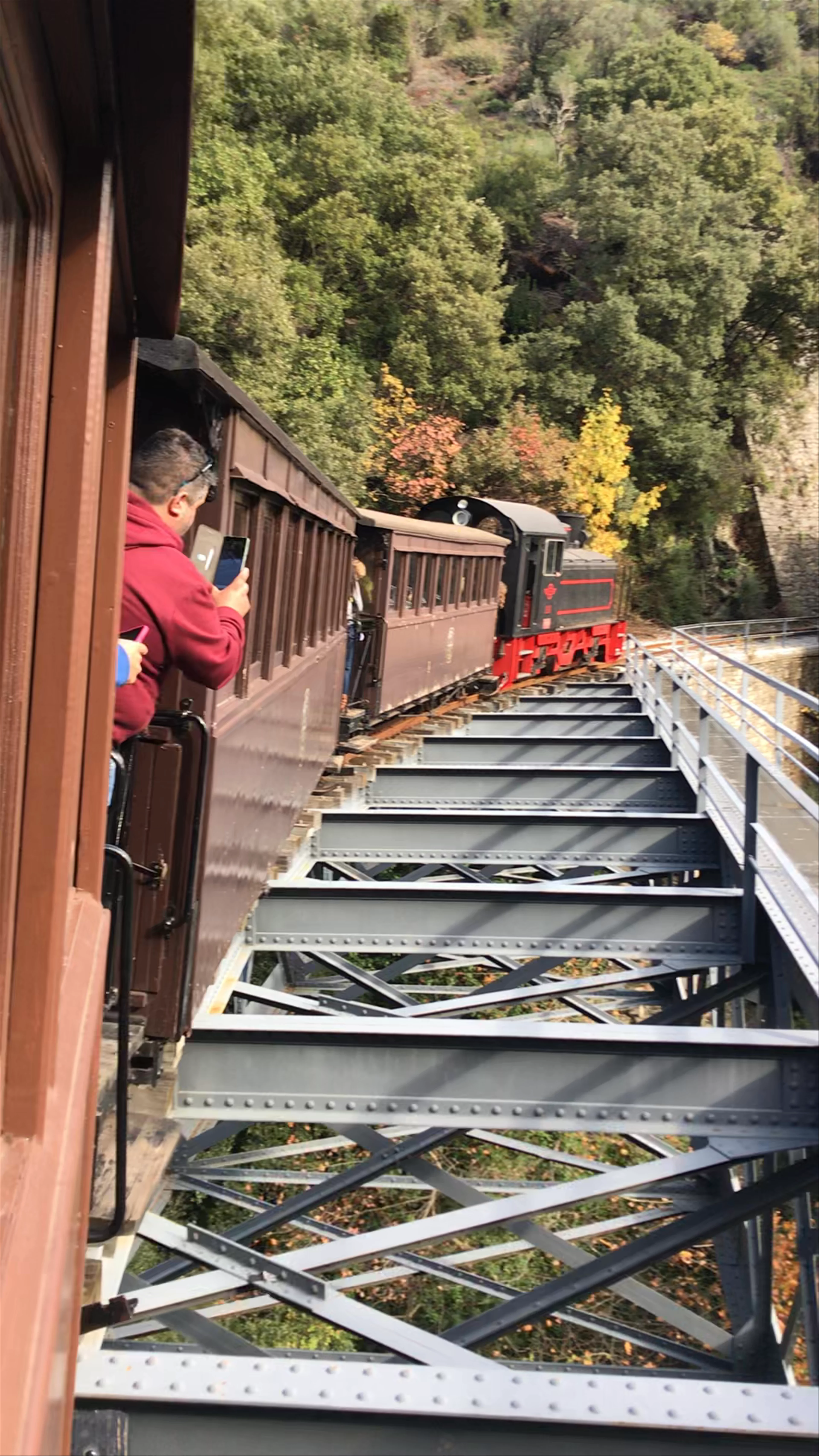 Pelion Narrow-Gauge Steam Train