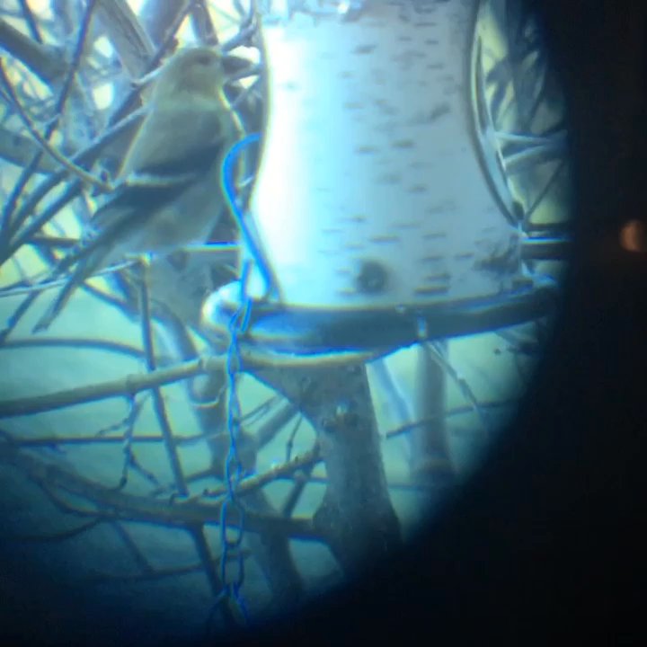 Point Au Roche Lodge - Birdwatching - Hotels Near Me - Plattsburgh, New York