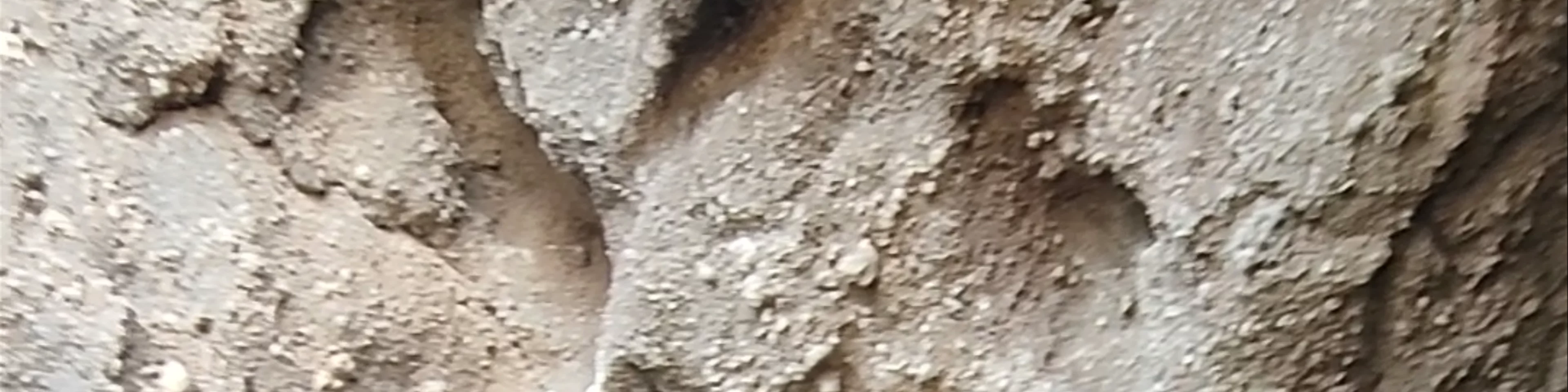 Cueva de los Pilares