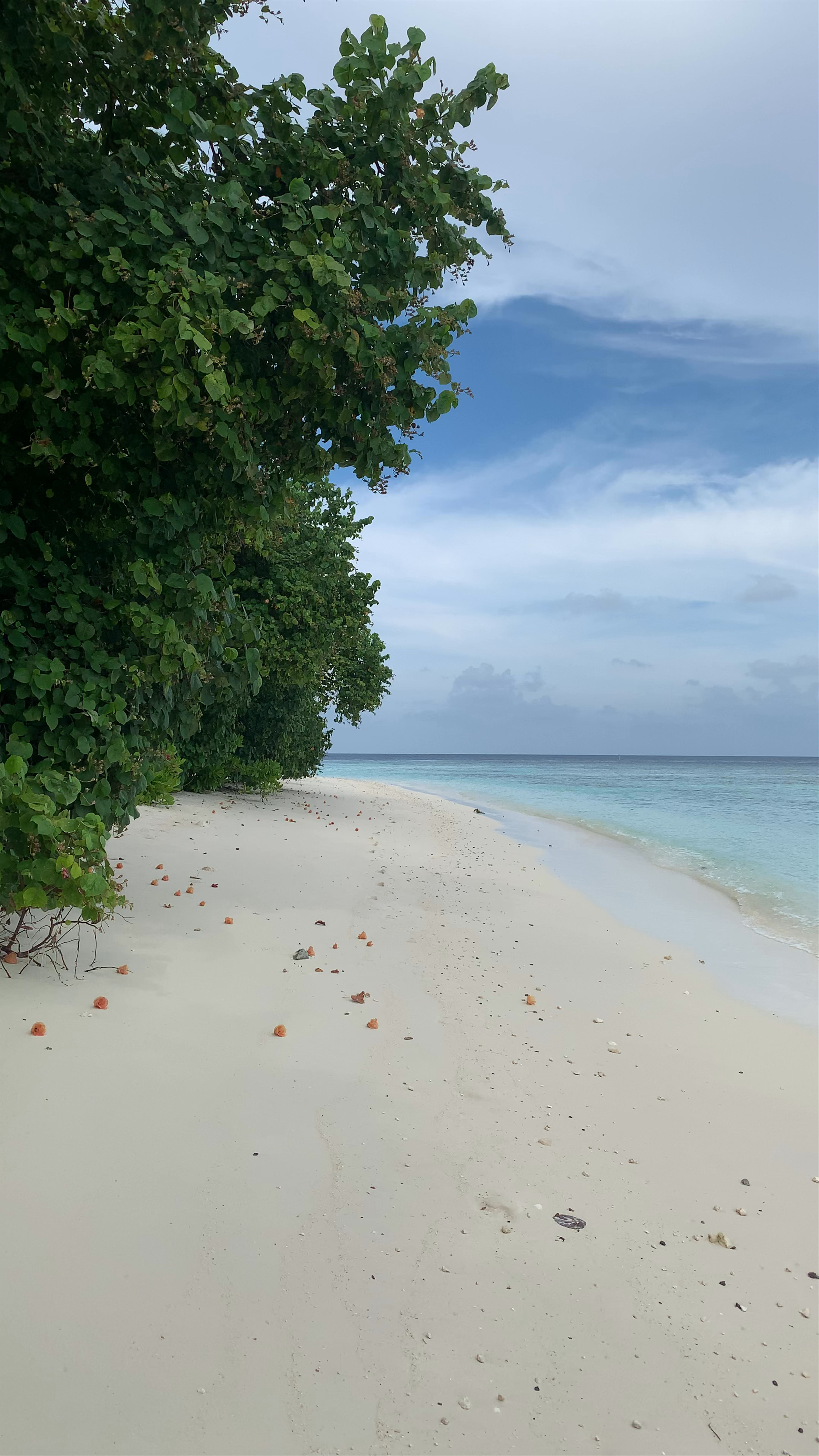 Raffles Maldives Meradhoo Resort