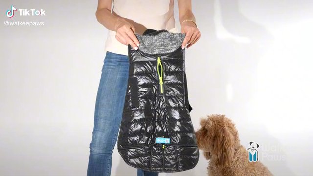How To Fit #walkeepaws New Deluxe Adjustable Puffer Coat. Keep your canine cozy and dry when it’s freezing outside!  #dogsoftiktok #dogcoat #fyp