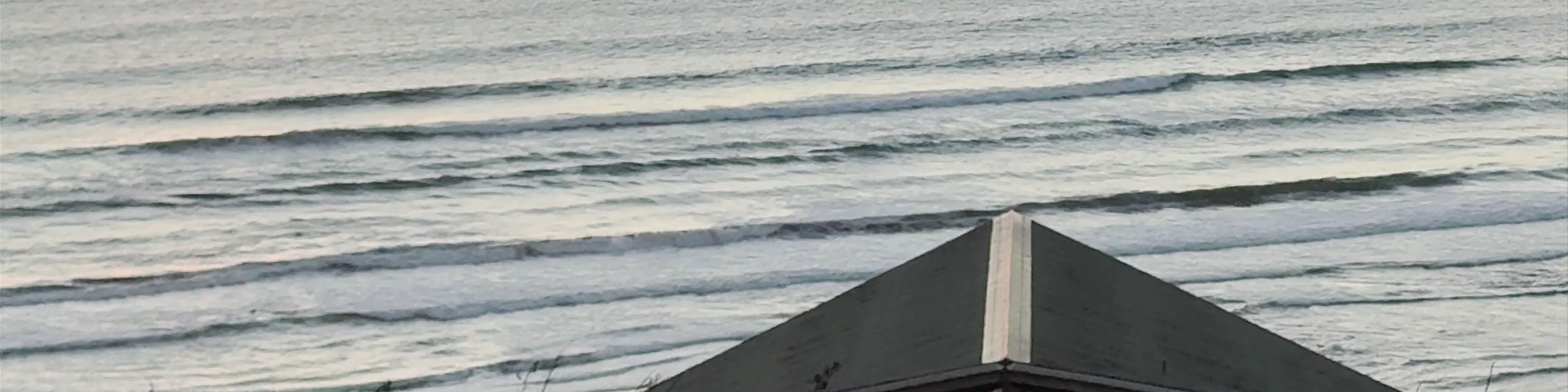 Karioitahi Beach