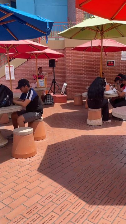 Mickey Cafe - Live music on the patio - Bubble Tea Near Me - Honolulu, Hawaii