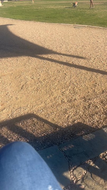 Willow Bend Dog Park - Plenty of room to run! - Dog Parks Near Me - Austin, Texas