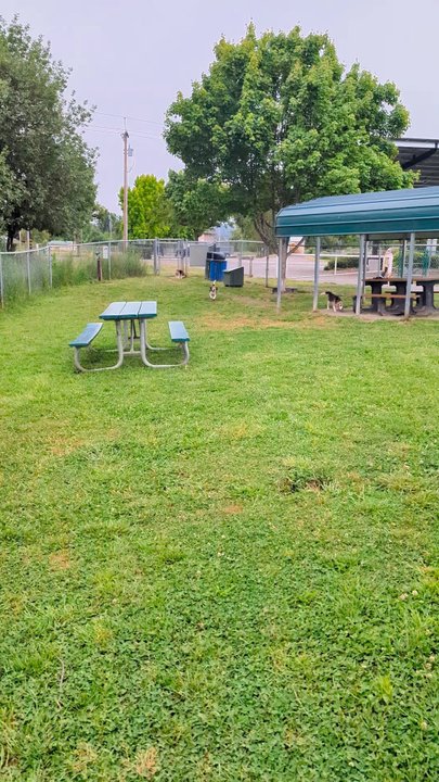 Frank Grasse Dog Park - Excited to run - Dog Parks Near Me - Willits, California