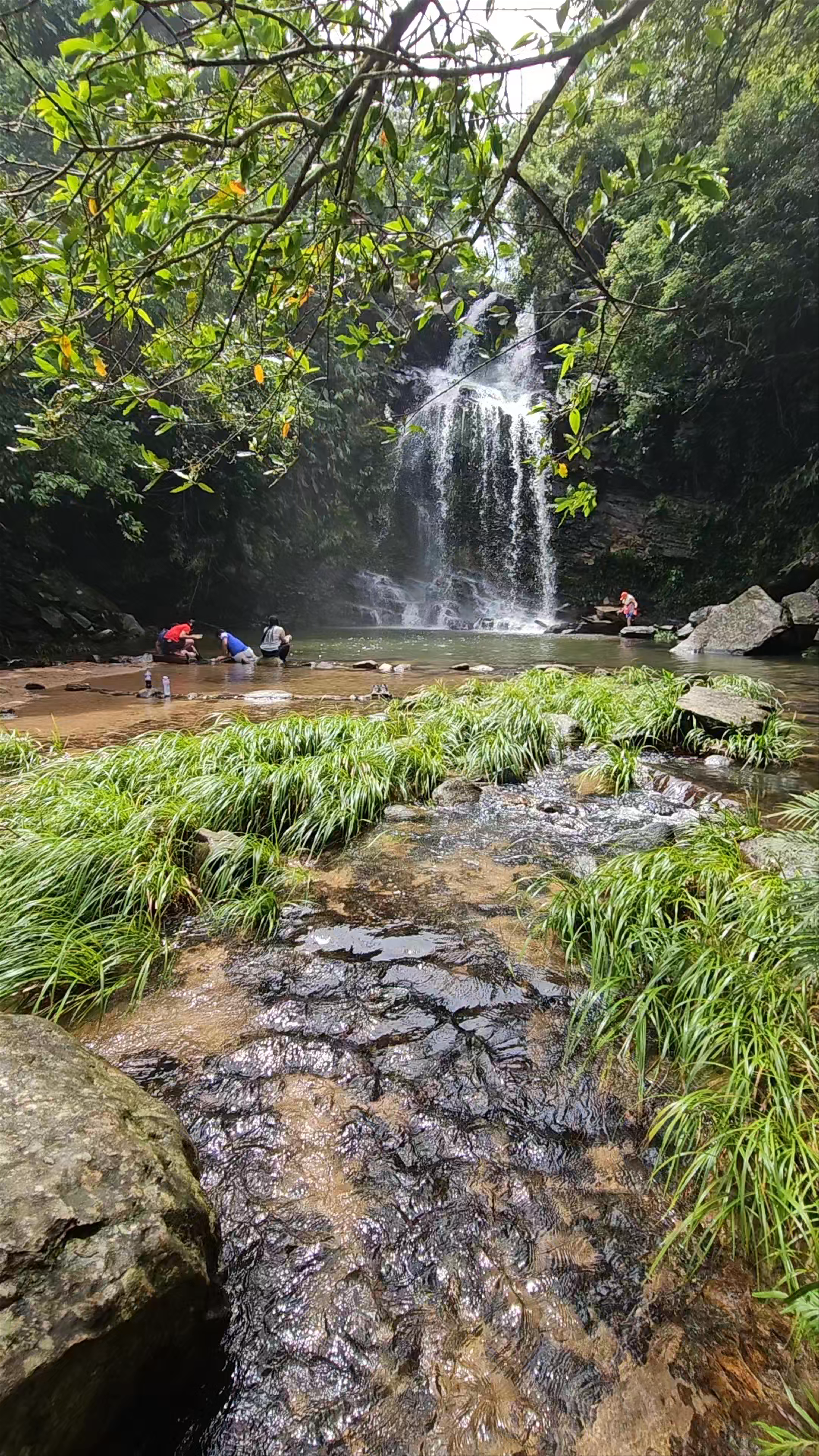 Serene Waterfall Escape at Bride's Pool Nature Trail, Hong Kong