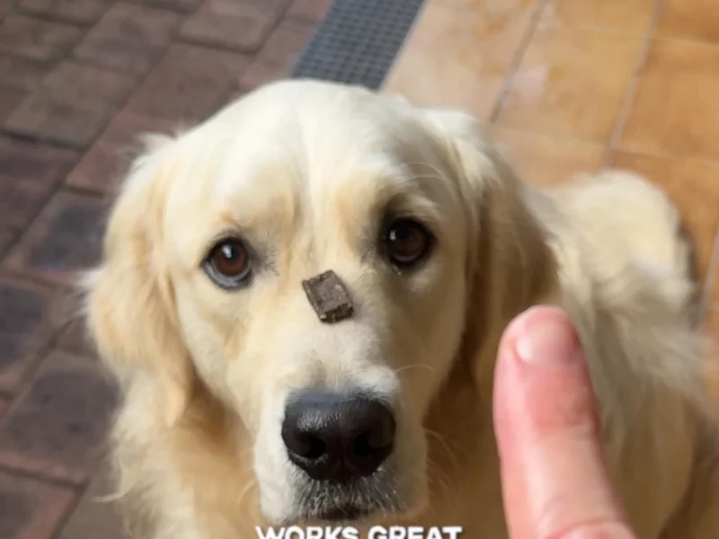 Eureka Pet Co