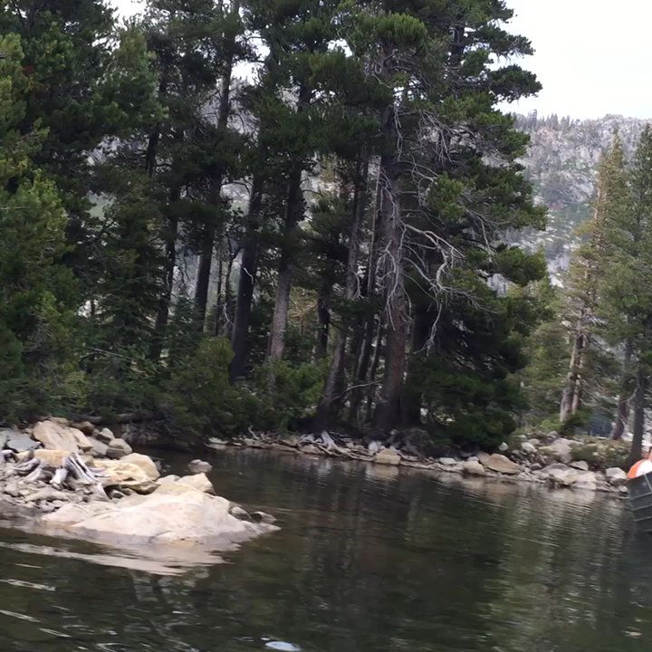 Video thumbnail 6 more videos