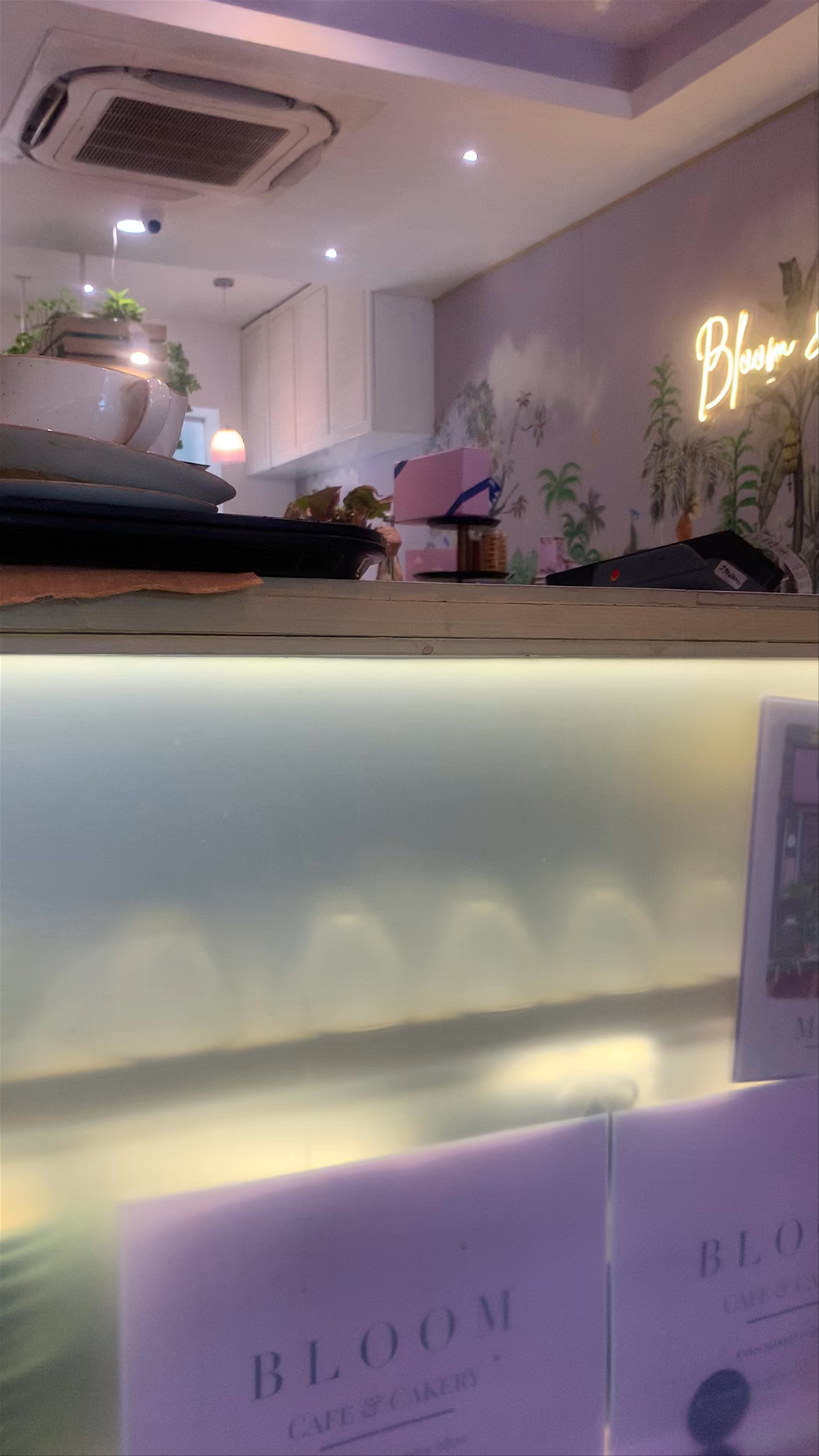 Bloom Cafe and Cakery: A Cozy Urban Oasis in New Delhi