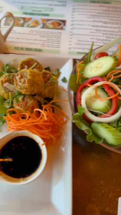 Thaisons - House Salad w/ Ginger Dressing, Crispy Taro Spring Rolls, Thai dumpling (Ka Noom Jeeb) - Asian Fusion Near Me - Falls Church, Virginia