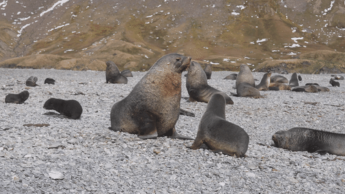 Untitled Work animated gif