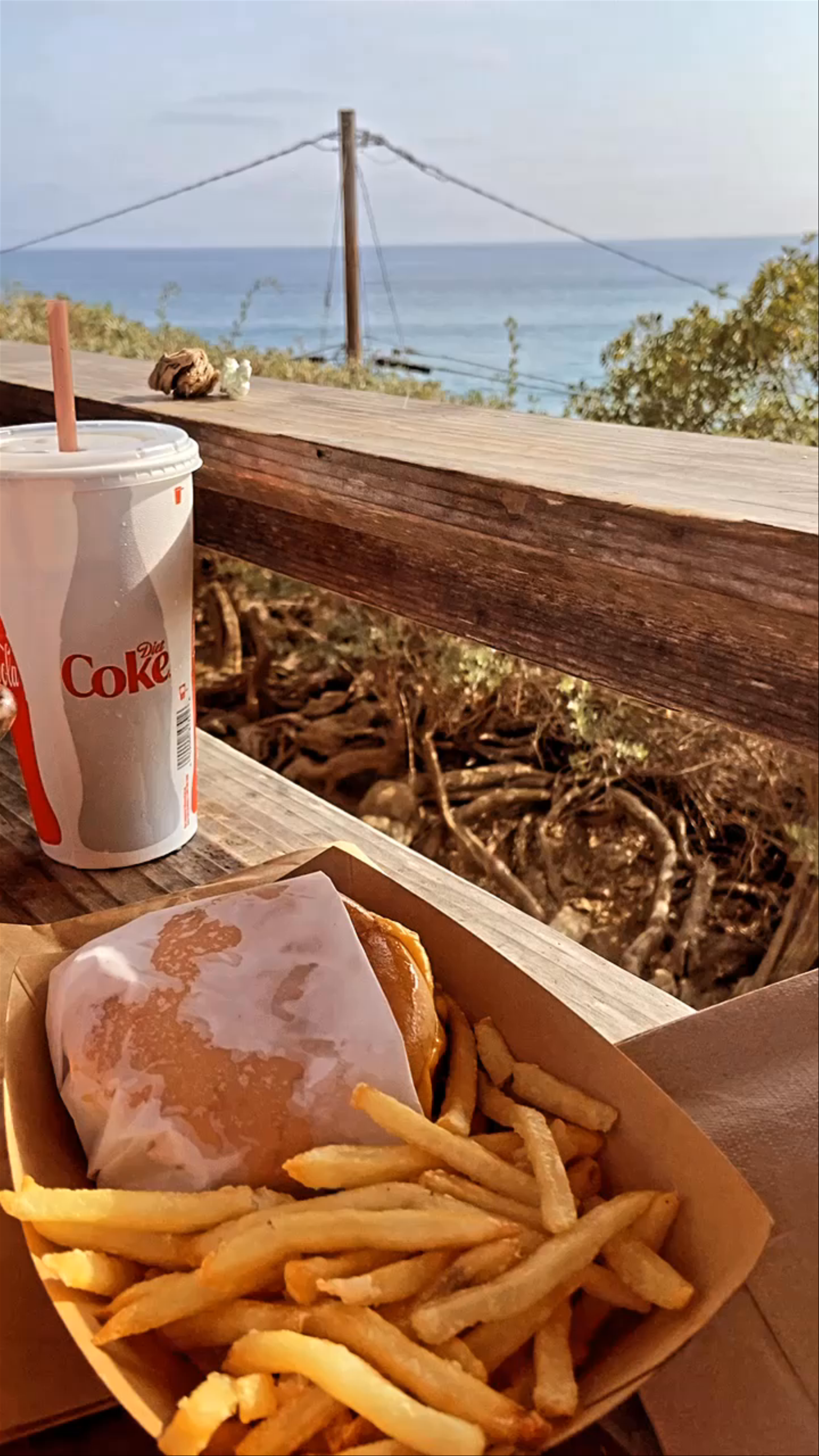 Sunny Beachside Lunch at Ruby's, Newport Beach