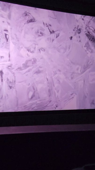 Roxy Stadium 14 - Cinema Near Me - Santa Rosa, California