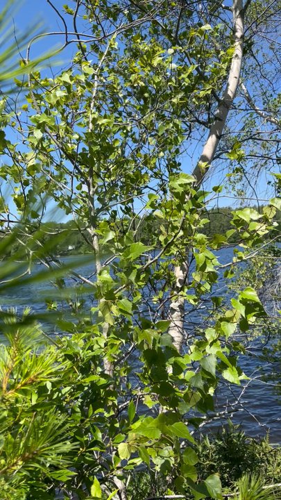 Wavus Camps - Day Camps Near Me - Jefferson, Maine