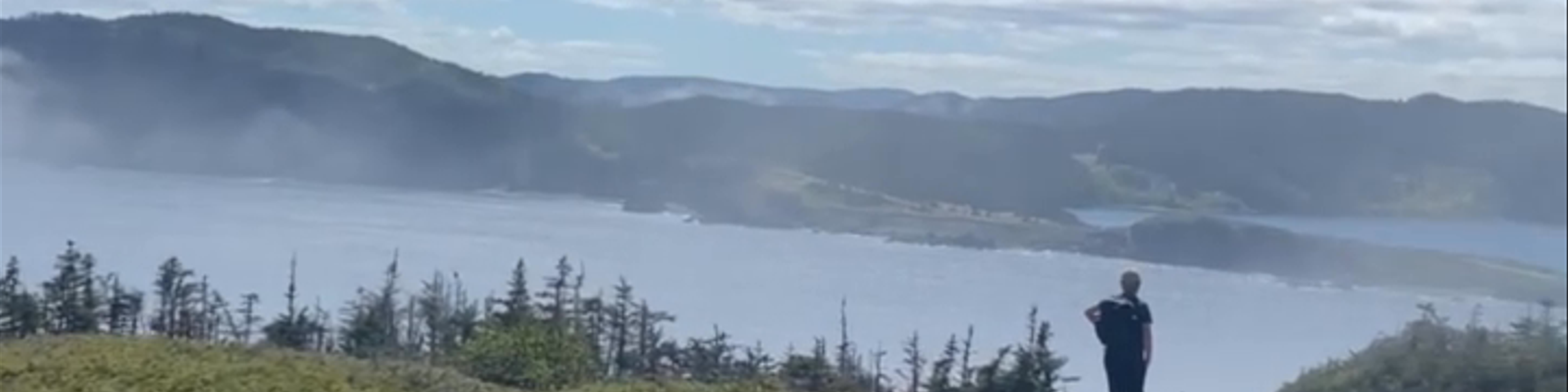 Bonavista