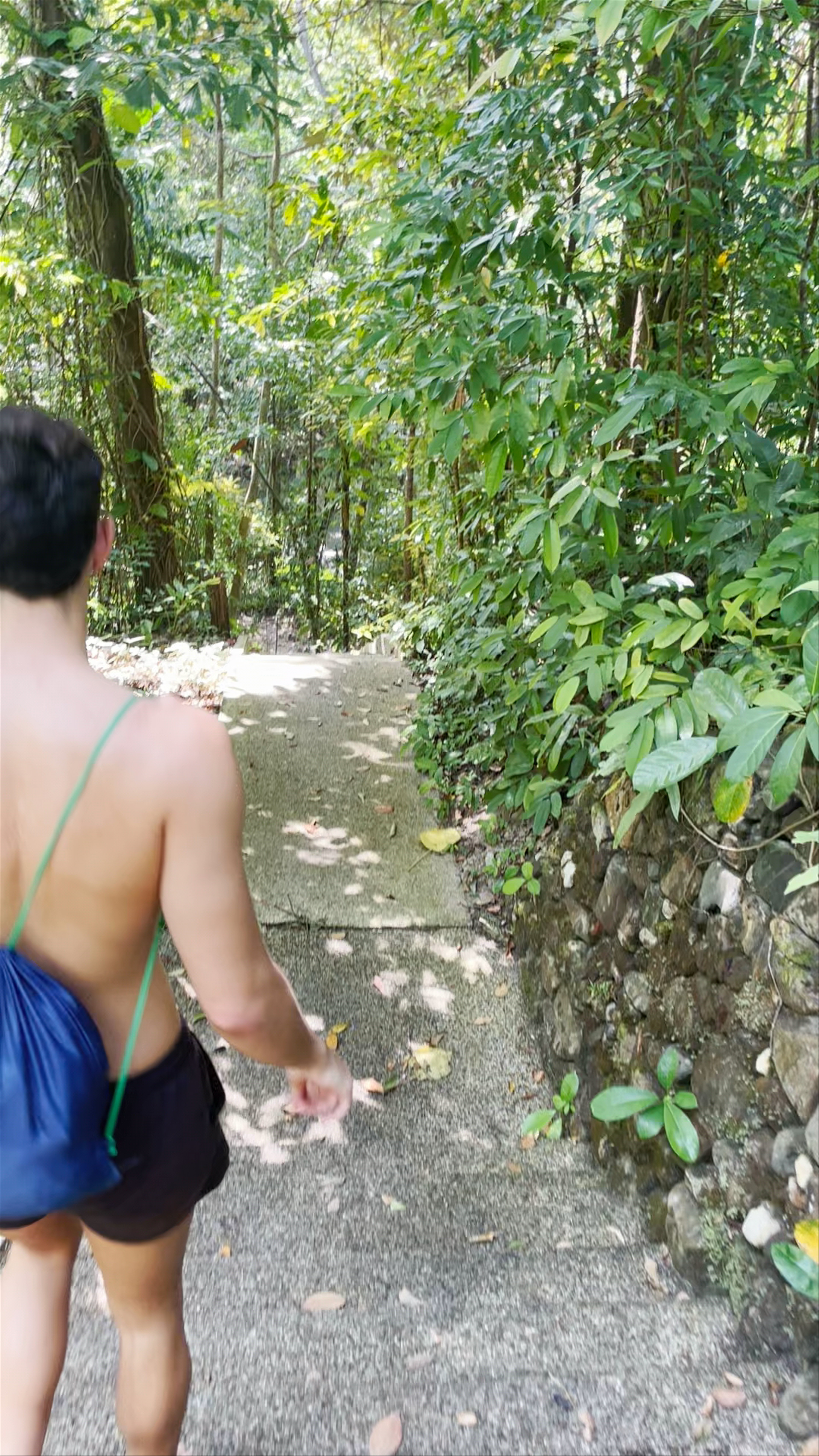 Jungle Pathway Adventure at White Sand Beach Khao Lak, Thailand