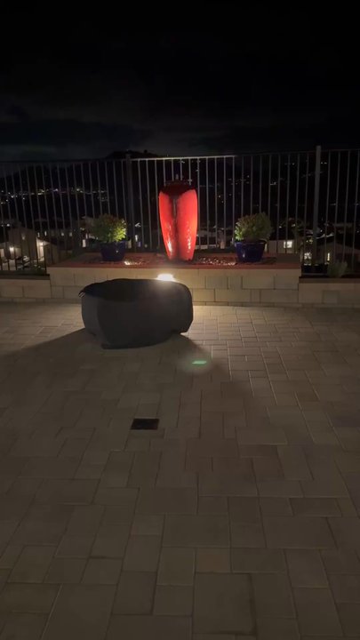 The Madd Potter - Fountain enjoying its new home! - Nurseries & Gardening Near Me - Fallbrook, California